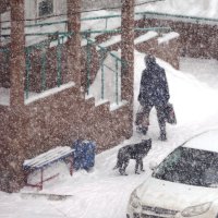 Весенний снегопад. :: Ильсияр Шакирова