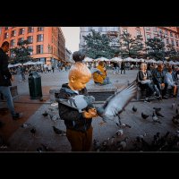 кормление голубей в кракове на площади :: Jiří Valiska
