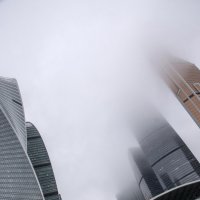 Йожик в тумане :: Яков Реймер