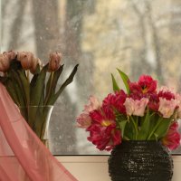 Цветы у окна :: Aнна Зарубина