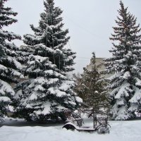 Провожая снежную зиму :: Лидия (naum.lidiya)