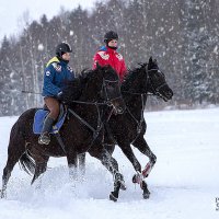 *** :: Ольга Живаева