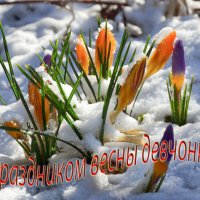 С праздником Весны!!! :: Михаил Болдырев 