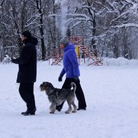 Зимняя прогулка :: dindin 