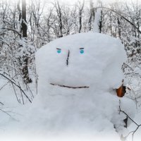 Про снеговиков замолвим слово. :: Андрей Заломленков