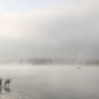 Туманное утро над Леной :: Наталья Филипсен