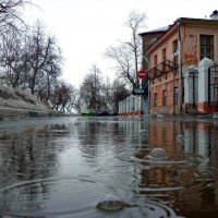 мартовский дождь :: Наталья Сазонова