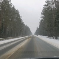 Дорога в марево. :: Анатолий. Chesnavik.