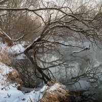 На зимней речке :: Александр Орлов