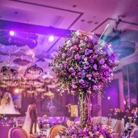 Более роскошной  свадьбы  я  не  видел ! :: Виталий Селиванов 