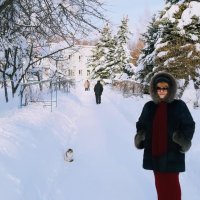 Зима в разгаре :: Геннадий Лавринов