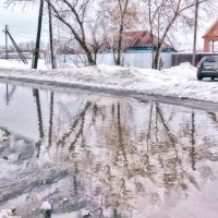 Весна на нашей улице... :: Наталья Ильина