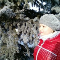 Утро в зимнем лесу. :: Алексей Кузнецов