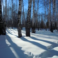 Под голубыми небесами великолепными коврами, блестя на солнце,  снег лежит..... :: Анна Суханова