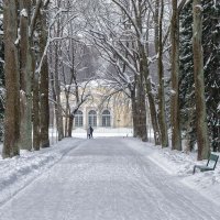 Павловские аллеи. :: Григорий Евдокимов