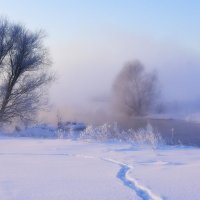 Однажды туманным утром... :: Владимир 