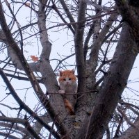 В ожидании амурного свидания! :: Люба 