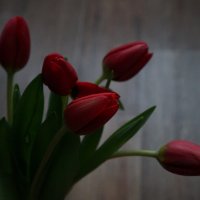 Тюльпаны ... :: Алёна Савина