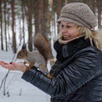 в гостях у белочки) :: Елена Кордумова