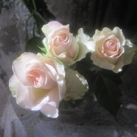 Букет из белых роз :: Елена Семигина