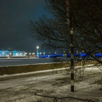 Кунсткамера и мост Дворцовый... :: Юрий Велицкий