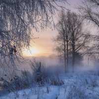 winter morning :: Геннадий Ковалев ,