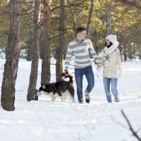 прогулка по зимнему лесу :: Виктория Андреева