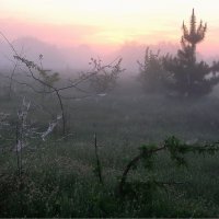 Тихо стелится туман :: Геннадий Худолеев Худолеев