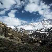 Бурелом... после пожарища в среднегорье. :: Сергей Ермишкин