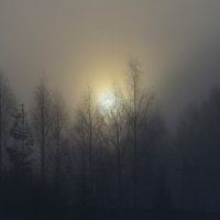 Туманное утро 14.03.19 г :: Владимир Перваков