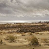 песок и ветер :: Galina 