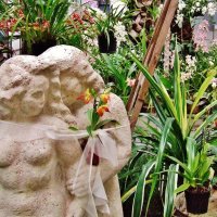 Когда и скульптуры дарят орхидеи.. :: Aida10 