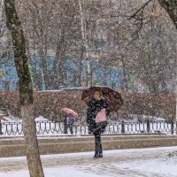 Мартовский снегопад. :: Анатолий. Chesnavik.