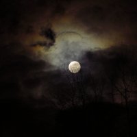 Луна, как бледное пятно, сквозь тучи мрачные желтела :: Андрей Лукьянов