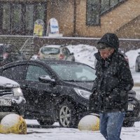 Снегопад в марте. :: Анатолий. Chesnavik.