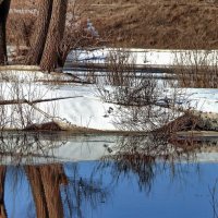 Весенних льдов речные бастионы... :: Лесо-Вед (Баранов)