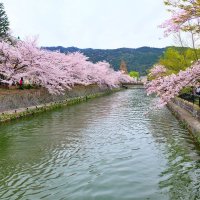 Киото Япония :: Alm Lana