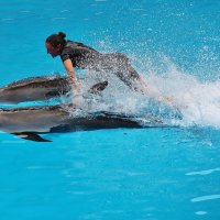 Полёт на дельфинах :: Natali Positive