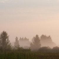 Утренний туман :: Alexs Klinkov