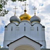 Новодевичий монастырь :: Константин Анисимов