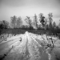 Зимний пейзаж. :: Александр 