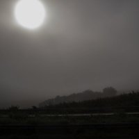 Утренний туман в дороге-3 :: Александр Рябчиков