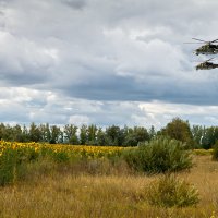 Родные просторы :: Александр Смольников