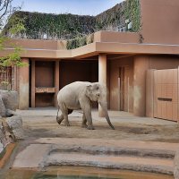 Зоопарк Нагоя Higashiyama Zoo :: Alm Lana
