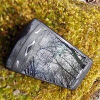 Смартфон,брошенный на мох. :: Лира Цафф