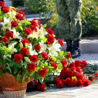 Цветы к Памятнику Маргелову :: Мария Коледа