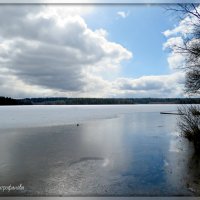 Весна на озере. :: Ольга Митрофанова