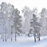 Зимняя сказка :: Аркадий 