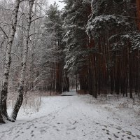 Мартовский снег ... :: Татьяна Котельникова