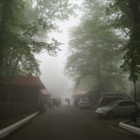 сумрачный туман :: Галинур 
